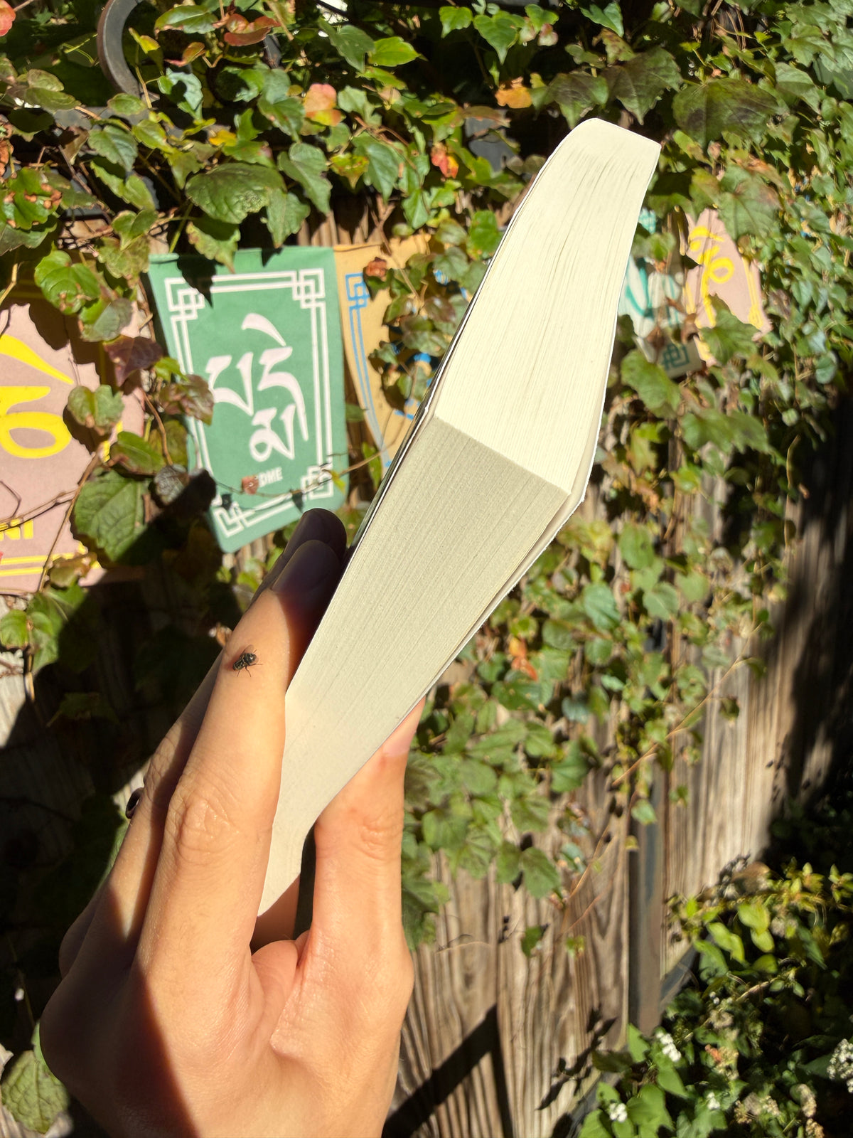 Old Path New Prints: A Gen-Z Spiritual Pilgrimage Across Asia